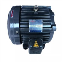 TAI WAN SY {{0}}Modur Cyfnod Sefydlu Pwmp Olew Hydrolig Modur C03-43B0 C02-43B0Induction Motor